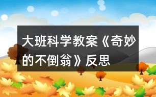 大班科學(xué)教案《奇妙的不倒翁》反思