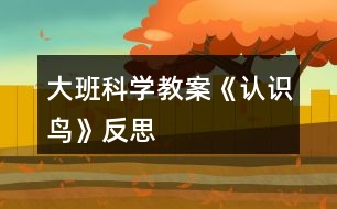 大班科學教案《認識鳥》反思