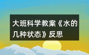 大班科學(xué)教案《水的幾種狀態(tài)》反思