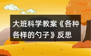 大班科學教案《各種各樣的勺子》反思