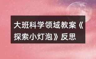 大班科學領域教案《探索小燈泡》反思