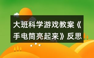 大班科學(xué)游戲教案《手電筒亮起來》反思