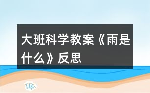 大班科學(xué)教案《雨是什么》反思