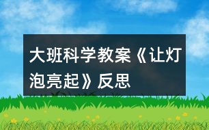 大班科學(xué)教案《讓燈泡亮起》反思