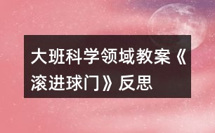 大班科學領域教案《滾進球門》反思