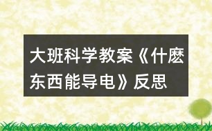 大班科學教案《什麼東西能導電》反思