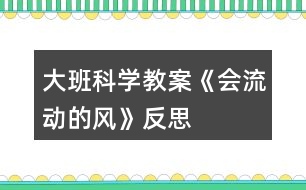 大班科學教案《會流動的風》反思