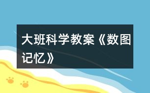 大班科學(xué)教案《數(shù)圖記憶》