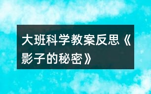 大班科學教案反思《影子的秘密》