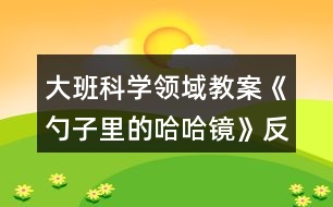 大班科學(xué)領(lǐng)域教案《勺子里的哈哈鏡》反思