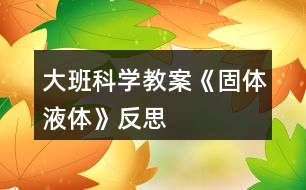 大班科學教案《固體、液體》反思