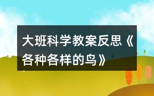 大班科學(xué)教案反思《各種各樣的鳥(niǎo)》