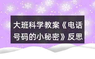 大班科學(xué)教案《電話(huà)號(hào)碼的小秘密》反思