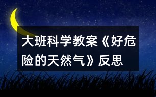 大班科學(xué)教案《好危險(xiǎn)的天然氣》反思