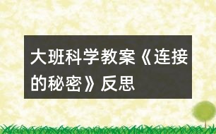 大班科學教案《連接的秘密》反思