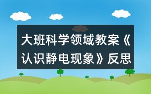 大班科學(xué)領(lǐng)域教案《認(rèn)識靜電現(xiàn)象》反思