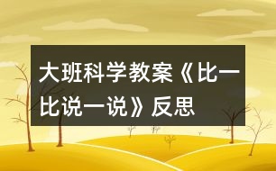 大班科學(xué)教案《比一比說一說》反思