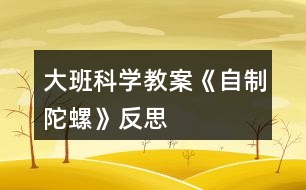 大班科學(xué)教案《自制陀螺》反思