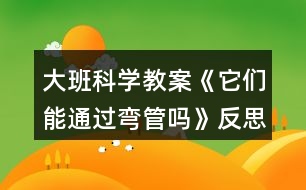 大班科學(xué)教案《它們能通過(guò)彎管嗎》反思