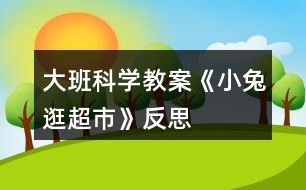 大班科學(xué)教案《小兔逛超市》反思