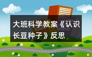 大班科學(xué)教案《認(rèn)識長豆種子》反思