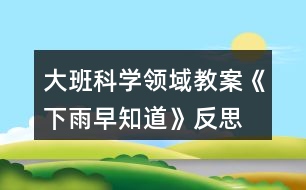 大班科學(xué)領(lǐng)域教案《下雨早知道》反思