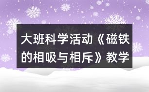 大班科學活動《磁鐵的相吸與相斥》教學設計活動反思