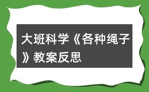 大班科學《各種繩子》教案反思