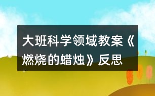 大班科學領域教案《燃燒的蠟燭》反思