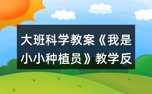 大班科學教案《我是小小種植員》教學反思