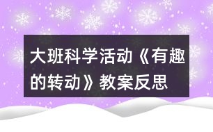 大班科學(xué)活動《有趣的轉(zhuǎn)動》教案反思