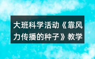 大班科學(xué)活動《靠風(fēng)力傳播的種子》教學(xué)設(shè)計活動反思