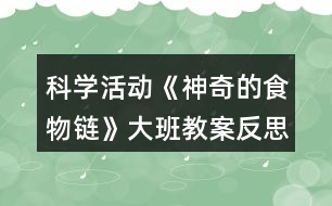 科學活動《神奇的食物鏈》大班教案反思