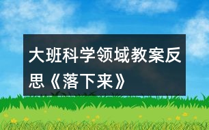 大班科學(xué)領(lǐng)域教案反思《落下來》