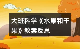 大班科學《水果和干果》教案反思