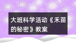 大班科學活動《禾苗的秘密》教案