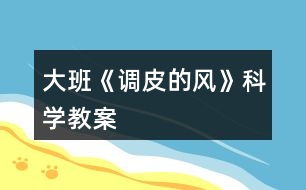 大班《調(diào)皮的風(fēng)》科學(xué)教案