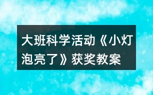 大班科學(xué)活動(dòng)《小燈泡亮了》獲獎(jiǎng)教案