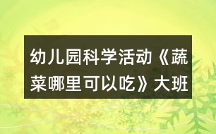 幼兒園科學活動《蔬菜哪里可以吃》大班語言教案狐貍種菜