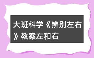 大班科學《辨別左右》教案（左和右）