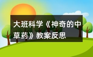 大班科學《神奇的中草藥》教案反思