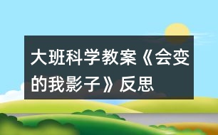 大班科學教案《會變的我影子》反思