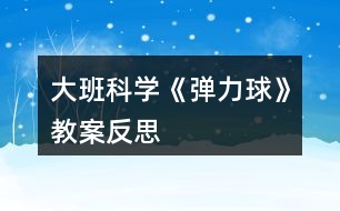 大班科學《彈力球》教案反思