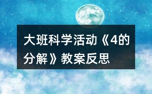 大班科學(xué)活動《4的分解》教案反思