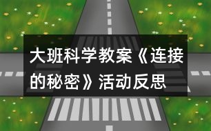 大班科學(xué)教案《連接的秘密》活動(dòng)反思