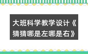 大班科學教學設計《猜猜哪是左哪是右》反思