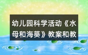 幼兒園科學活動《水母和?？方贪负徒虒W反思