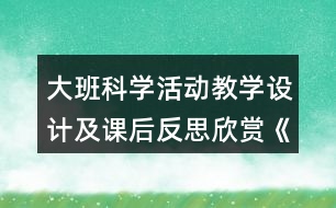 大班科學(xué)活動(dòng)教學(xué)設(shè)計(jì)及課后反思欣賞《鳥的世界》