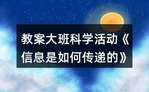 教案大班科學(xué)活動(dòng)《信息是如何傳遞的》反思