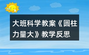 大班科學(xué)教案《圓柱力量大》教學(xué)反思